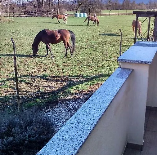 Tiara 2 公寓 Rodine